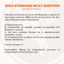 Pin On Mcat Practice Questions