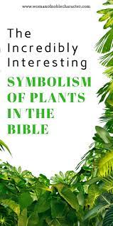 Symbolism Of Plants In The Bible What Plant Bible Symbolism Means Animals In The Bible Bible Study Help Flowers In The Bible