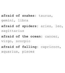 You love people hard and pour your all into relationships without thinking about whether you may get hurt. All Four Really But Seriously It Read My Mind Cause The Ocean Has Sharks Zodiac Signs Horoscope Zodiac Signs Zodiac Signs Cancer