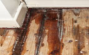 Check spelling or type a new query. Shower Pan Leak Testing Los Angeles Water Intrusion Specialists