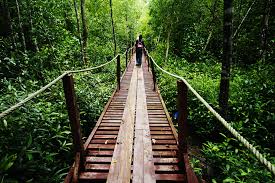 Selangor, also known by its arabic honorific darul ehsan, or abode of sincerity, is one of the 13 states of malaysia. Top 15 Best Attractions In Selangor You Should See