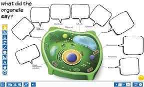 Check spelling or type a new query. Elb Education Usa On Twitter Thursdaythoughts What Are The Differences Between A Plant And Animal Cell Our Interactive Prowise Presenter Science Lesson Allows Students To Identify The Structures Functions Of