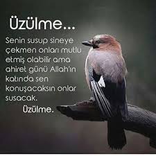 Goruntunun Olasi Icerigi Yazi Ozlu Sozler Dualar Islam