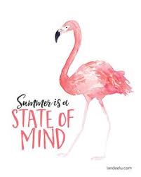 People interested in pinterest flamingo also searched for. Die 149 Besten Bilder Von Flamingo Flamingos Flamingo Geburtstag Und Flamingo Party