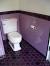 Pale Lavender Lavender Bathroom
