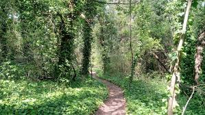 Maybe you would like to learn more about one of these? Oak Cliff Nature Preserve 2875 Pierce St Dallas Tx 75233 Usa