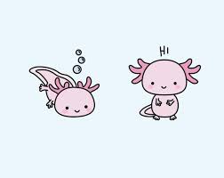 How to draw an axolotl, also known as s mexican salamander or a mexican walking fish. Kawaii Axolotl Baby Novocom Top