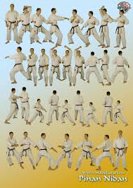 In addition, this section explores the meaning of each shotokan karate kata because many shotokan schools question their students about these kata meanings during belt tests. Karate Kata Karate Shotokan