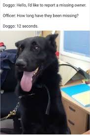 54 Funny Fresh And Fantastic Animal Memes To Get You Going Justviral Net Cops Humor Police Humor Dog Memes
