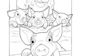 Kuda poni adalah jenis kuda yang berukuran kecil. Mewarnai Gambar Keluarga Babi Ebook Anak