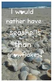 I Would Rather Have Seashells Than Snowflakes Picture Quote Beach Quotes Seashell Quotes Phototakenbyrosem Beach Quotes Ocean Quotes Seashells Quote