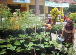 Berharap postingan foto tangan tunangan sederhana diatas bisa berguna buat kalian. Kebun Sekolah Sebagai Media Pembelajaran Dan Meningkatkan Gairah Belajar Siswa Bibit Buahku