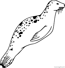 Animal coloring pages > cat, lion, and tiger coloring pages > leopard coloring page. Simple Leopard Seal Coloring Page Coloringall