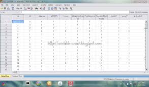 Download Portable Spss 19 Atlasfasr