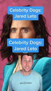 Jared Lee Cattle Dogs