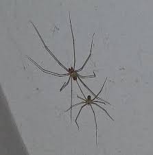 For quality residential pest control, residential termite control, commercial pest control, and i called on saturday morning for an estimate to remove carpenter ants that had built a condo in my front bedroom windows. Metro Guard Termite Pest Control 1100 W Pipeline Rd Hurst Tx Pest Control Mapquest
