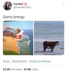 Pin By E On Animal Crossing Animal Crossing Funny Animal Crossing Game Animal Crossing Memes