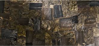 See more ideas about large format tile, petrified wood, flooring. Petrified Wood Ann Sacks Tile Stone