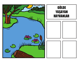 pin by etkinlikasigi on yasam alanlarina gore hayvanlar montessori activities activities classroom
