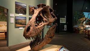 We did not find results for: Dinosaurs In Real Life Where To Find A Jurassic World Around The Us
