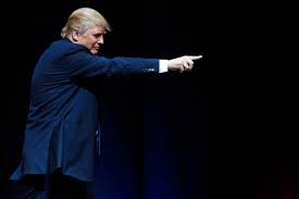 So i'm running on word 2016 on windows 10 and when i bring up a blank a4 page (see link) it looks short and stubby. How Donald Trump Became The Short Fingered Vulgarian Vanity Fair