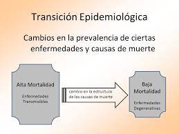 Autores la comprensión de los fenómenos que acompañan a la transición epidemiológica son de. Transicion Demografica Ppt Video Online Descargar