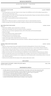 Their duties include training new employees and providing team members with daily objectives, developing and implementing reward systems to motivate. Operations Team Leader Resume Sample Mintresume