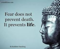 Pin By Saadati Roxana On Qoutes Buddhism Quote Buddha Quote Buddha Quotes Inspirational