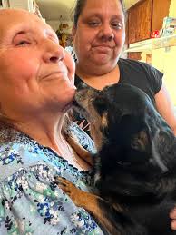 BirchBark Foundation, Inc.