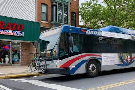 Image result for Bussea