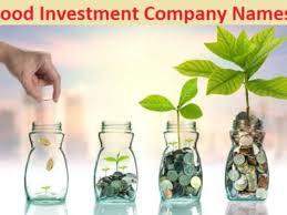 About investment companies by an investment company, we generally mean a company, which is responsible for issuing securities as well as is india has got many famous investment companies located all over the country. 50 Catchy Investment Company Names Ideas