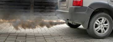 The Effects Of Air Pollution On Animals Diesel Cars Vehicles Pollution