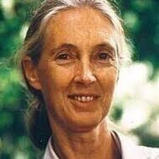 Dr. Jane Goodall, DBE