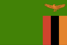 In the us, the red, black and green colors were prominent during the black power movement and the black consciousness renaissance of the 1960s and 70s. What Country Flags Have Green Black And Yellow Quora