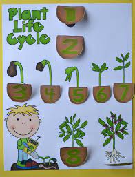 Bible Fun For Kids God Makes Flowers And Plants For Preschool Garden Crafts For Kids Planting For Kids Plant Crafts