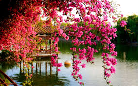 We did not find results for: Spring Flower Wallpaper Android Apps On Google Play 1203x752 Wallpaper Teahub Io