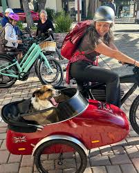 Image result for bicycle sidecar