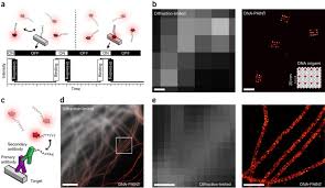 Select file from the top menu and then properties. Super Resolution Microscopy With Dna Paint Nature Protocols