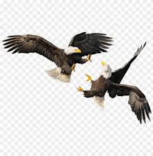 Check spelling or type a new query. Bald Eagle 4th Of July Eagle Png Image With Transparent Background Toppng