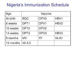 Ppt Immunization In Nigeria Cooperation With Gavi