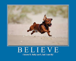I Believe I Can Fly I Believe I Can Touch The Sky I Believe In Pink Believe Animal Lover