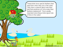 Animated Birds Of The Same Feather Flock Together Animated Birds Powerpoint By Teacher S Clubhouse Http Www Teachersclubhouse Com Science Htm Animals Science Games Science Teacher