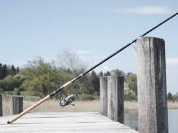 What Are The Parts Of A Fishing Rod Orbit Fishing