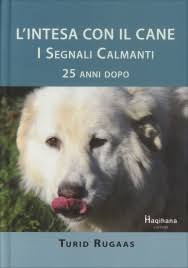 Anche i Cani Hanno un'Anima: un viaggio nella vita spirituale degli animali!