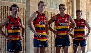 Adelaide crows new sanfl guernsey. 2021 Adelaide Pocket Profile Sanfl