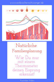 Gnoth aus dem jahr 1996, bei dem der eisprung mit ultraschall genau gemessen wurde und mit. Pin Auf Kinderwunsch Schwangerschaft
