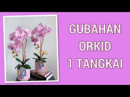 Check spelling or type a new query. Video Tangkai