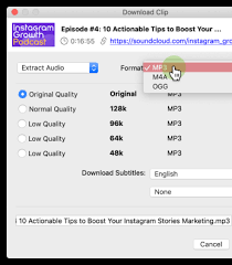 Download youtube videos to your computer and convert youtube videos to mp4 format to use in your powerpoint presentations. Free Youtube Downloader
