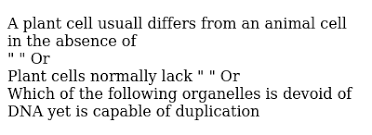 See how a generalized structure of an animal cell and plant cell look with labeled diagrams. Draw Well Labeled Structures Of Plant And Animal Cell Using Pencil