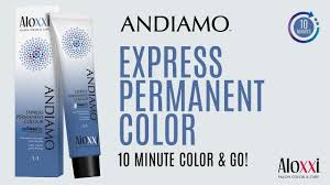 Successfully Cover Grey Hair In 10 Minutes With Aloxxi S Andiamo Express Permanent Color